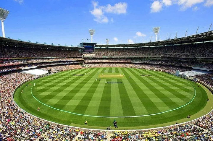 Experience the Thrill of Cricket World Cup 2023 Live with Vegas11!