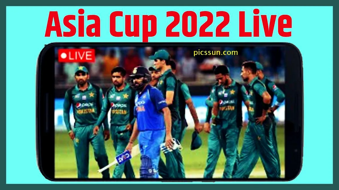 VEGAS11 Presents the Complete Cricket World Cup 2023 Groups Table for Pakistan