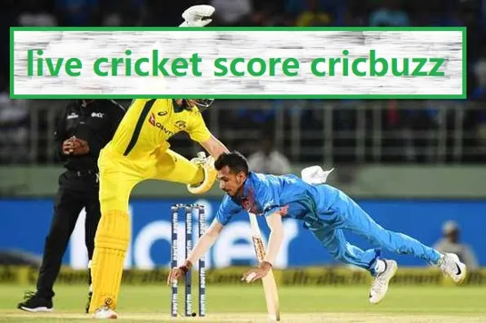 Introducing Vegas11: Your Go-To Cricket World Cup Live TV Channel App