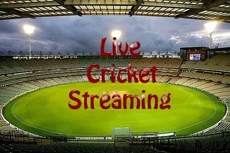 Experience the Energy of Cricket: Watch Live Matches on Vegas11 TV