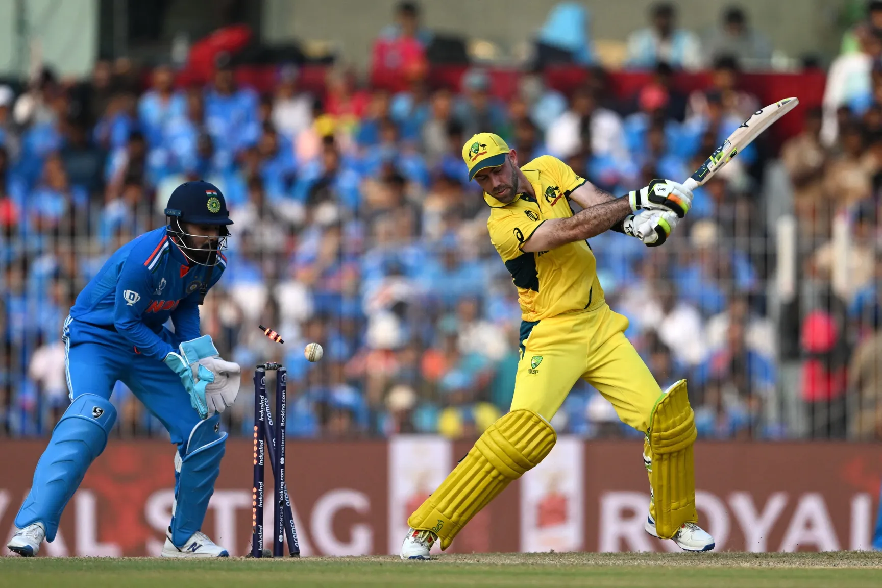 Watch ICC Cricket World Cup 2023 Live Streaming in USA with Vegas11