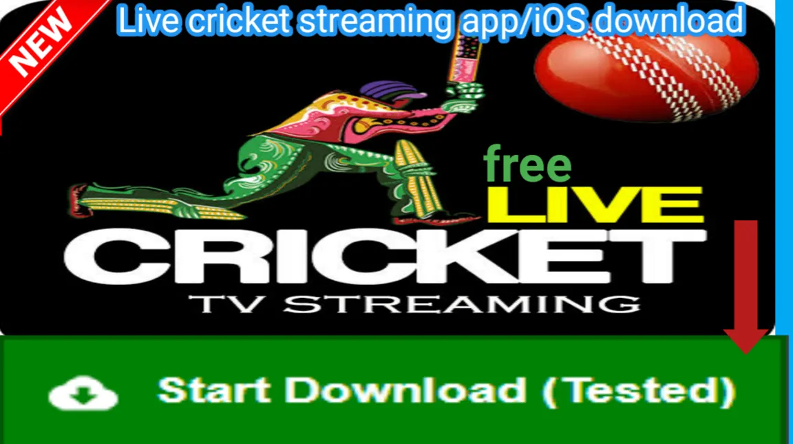 Vegas11: Your Ultimate Destination for CCL 2023 Live Score Today Match Cricket in India