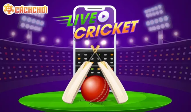 'Vegas11' Introduces the Latest Indian Cricket Team: Experience Thrilling Fantasy Cricket