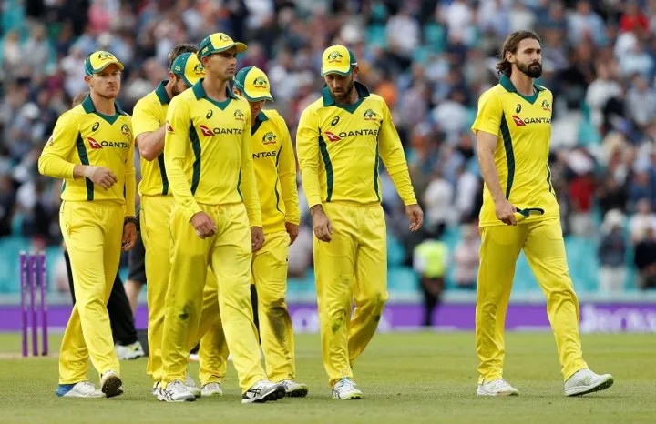 Vegas11: Your Guide to the Cricket World Cup Winners List T20 in India