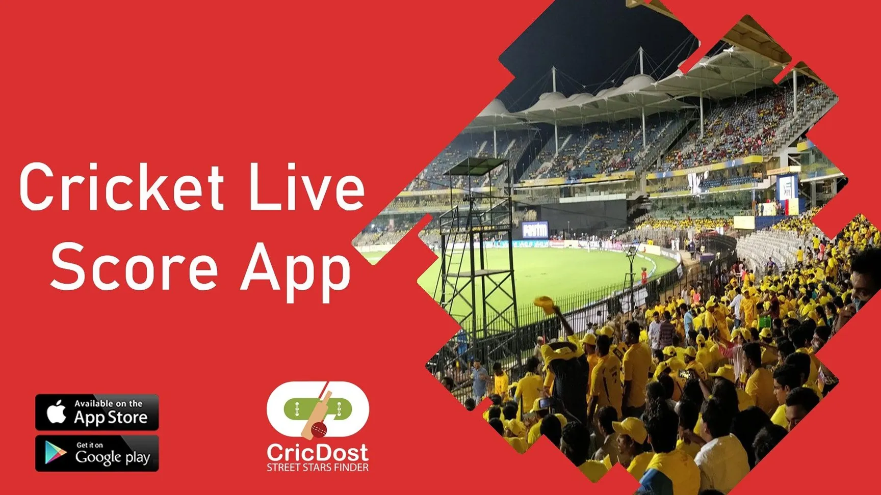 Vegas11: The Ultimate Cricket World Cup Streaming Platform in India