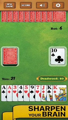 A Comprehensive Guide to Playing Rummy 500: Free PDF Edition | Vegas11